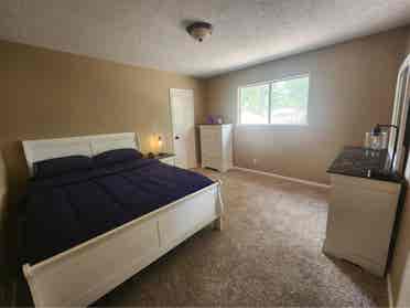 Cozy Room is Spring/Cypress