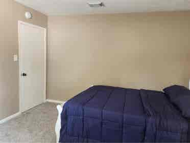 Cozy Room is Spring/Cypress