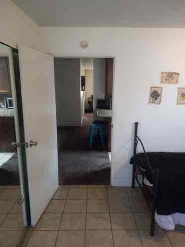 Two rooms for rent