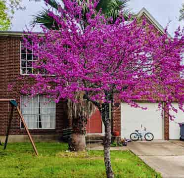 Home Near Mary Moore