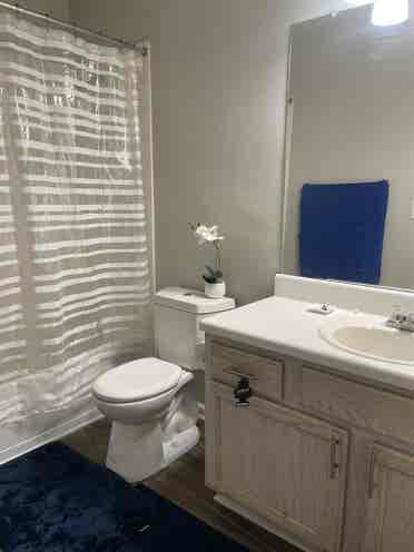 Room for Rent with Private Bath