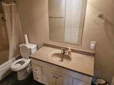 Have room for rent