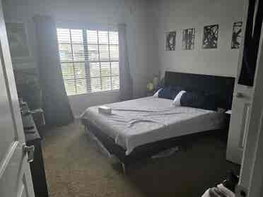 Looking for Respectable Roommate