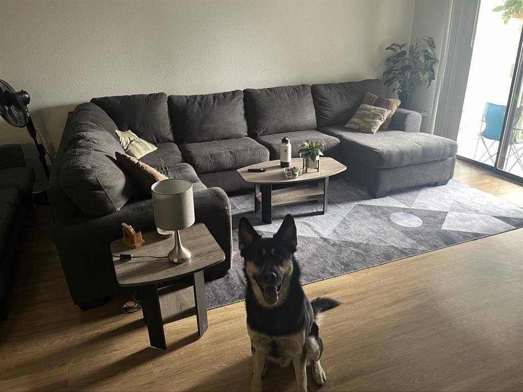 Large Room + Private Bathroom