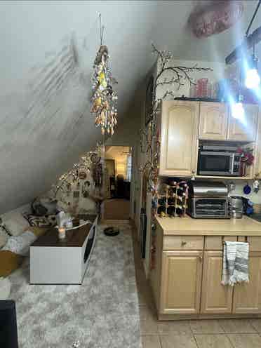Looking for a female roommate.