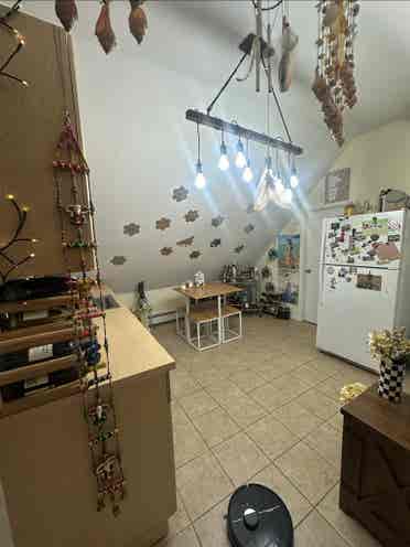 Looking for a female roommate.