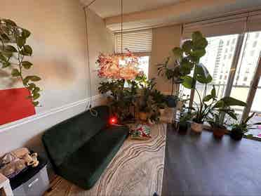 A beautiful 1bedroom in center city