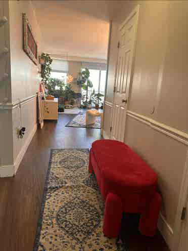 A beautiful 1bedroom in center city