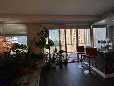 A beautiful 1bedroom in center city