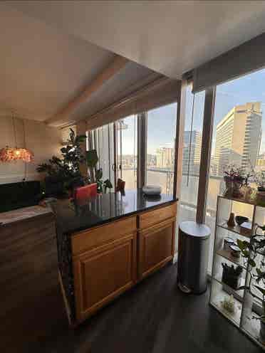 A beautiful 1bedroom in center city