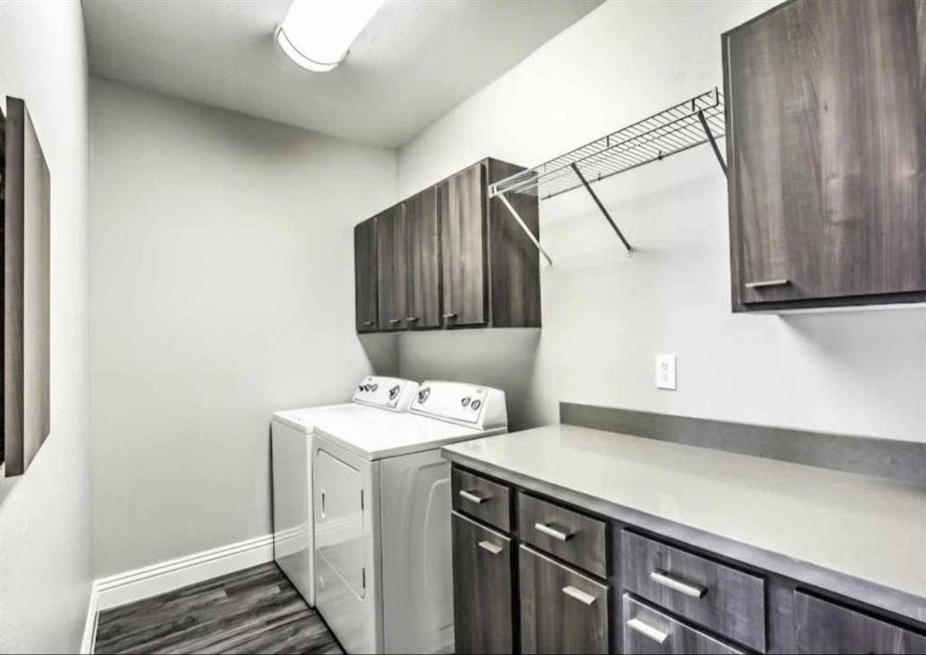 Looking for a roommate