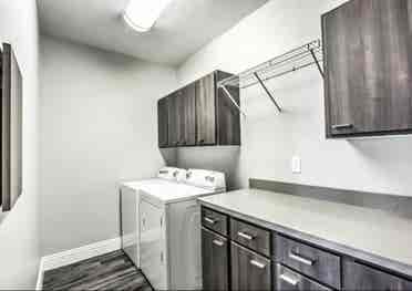 Looking for a roommate