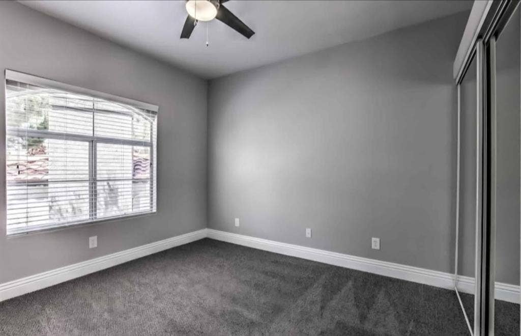 Looking for a roommate