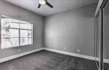 Looking for a roommate