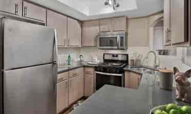 Looking for a roommate