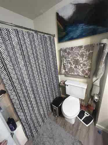 Looking for roommate