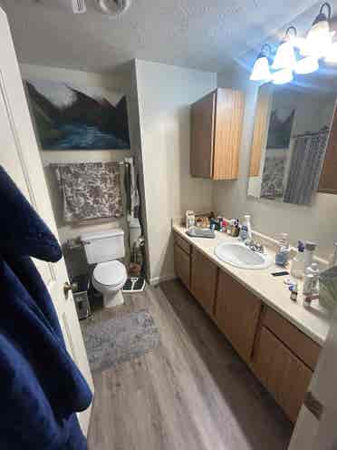 Looking for roommate
