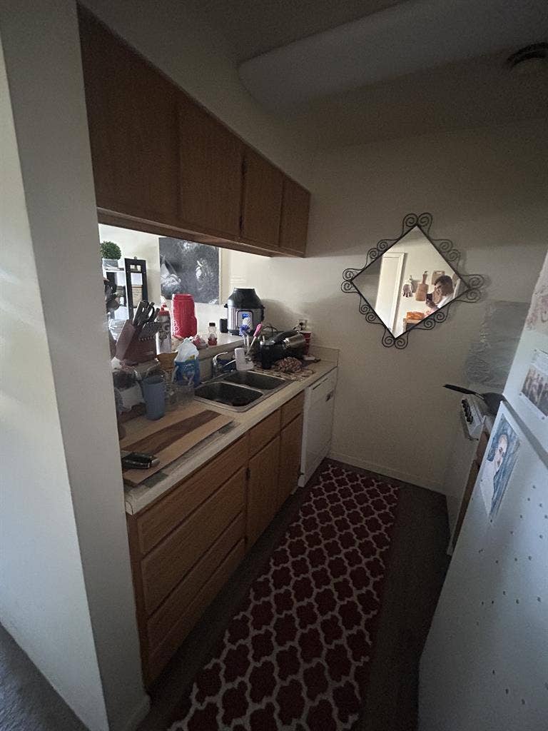 Looking for roommate