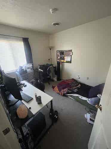 Looking for roommate