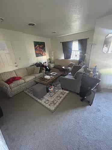 Looking for roommate