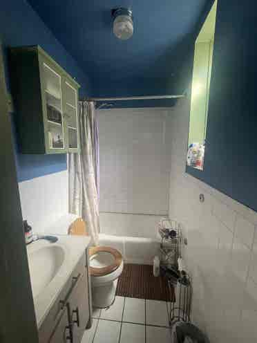 Bushwick 2 Bedrooms for Rent