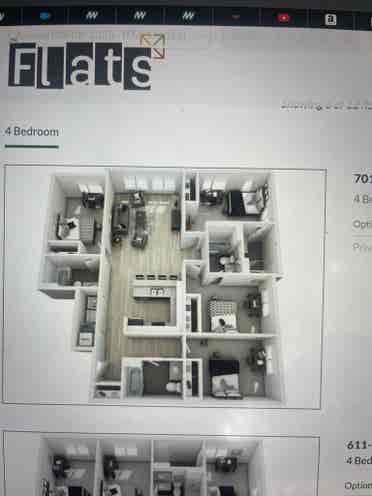 Modern and updated flats!