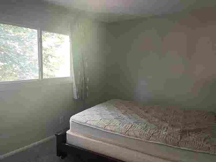Roomie needed
 ~ price negotiable