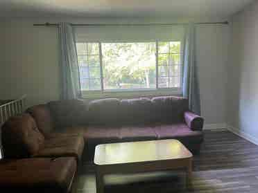 Roomie needed
 ~ price negotiable