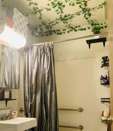 Room available now by central park