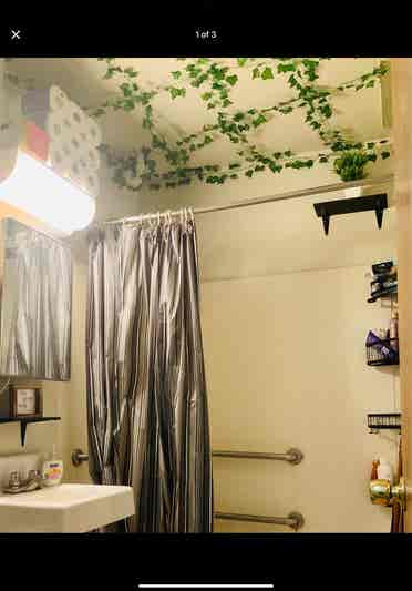 Room available now by central park