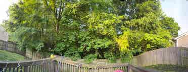 Unfurnished room for rent