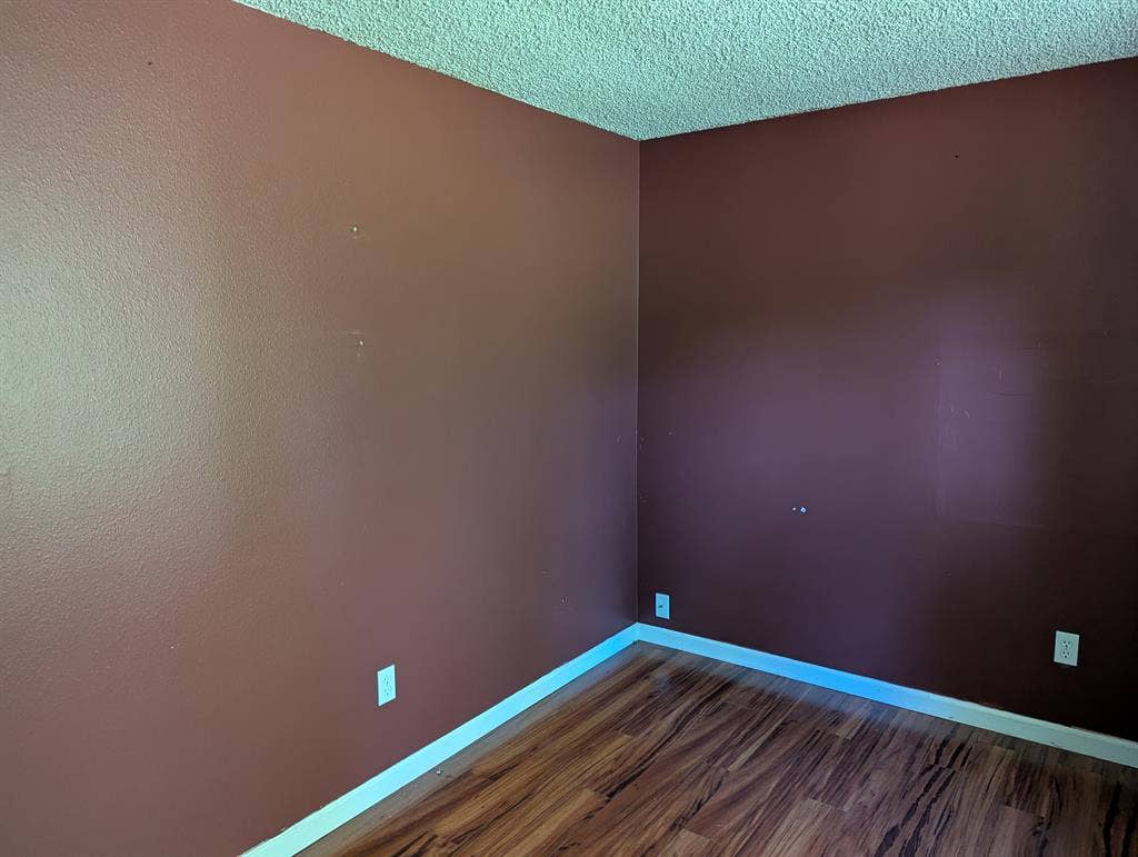 Minimalist introvert?