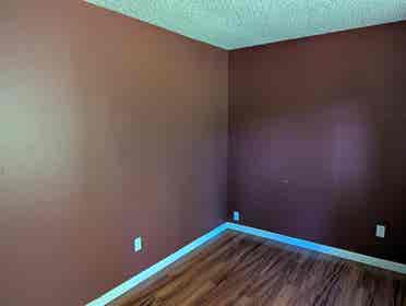 Minimalist introvert?