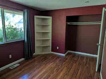 Minimalist introvert?