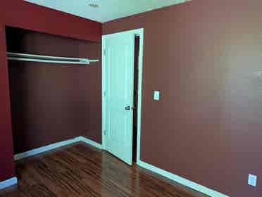 Minimalist introvert?