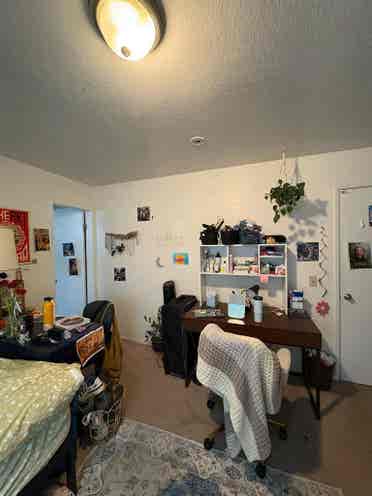 Summer Sublease Double