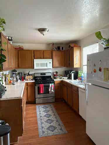 Summer Sublease Double