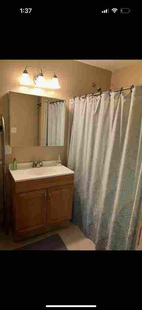 Looking for  roommates