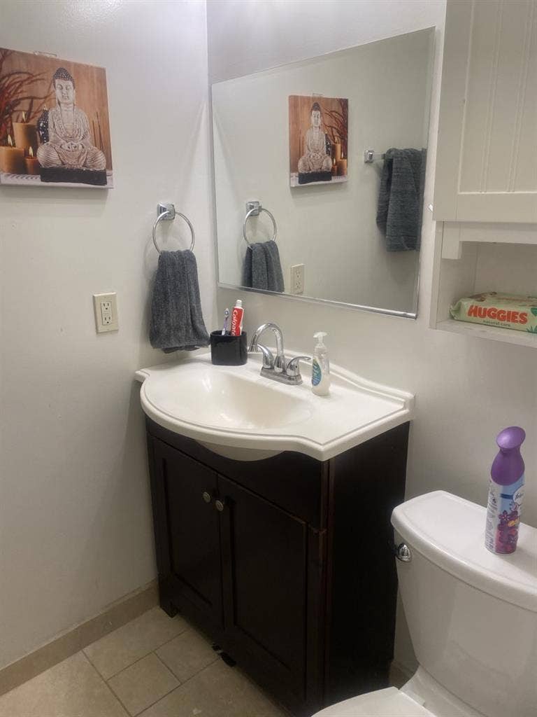 Looking for a studio roommate temp