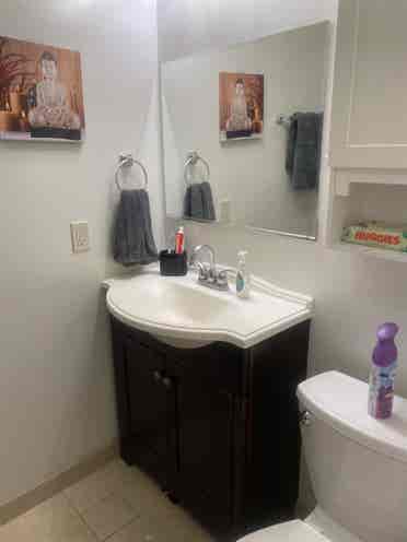 Looking for a studio roommate temp