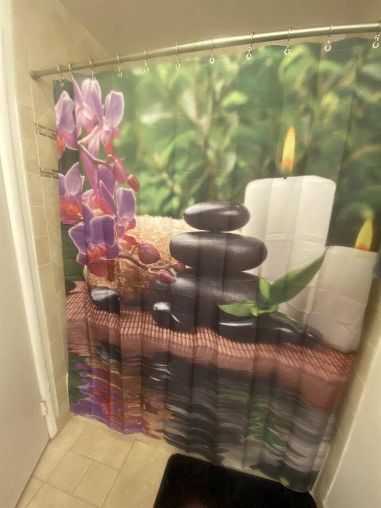 Looking for a studio roommate temp