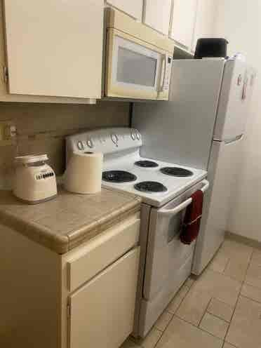 Looking for a studio roommate temp