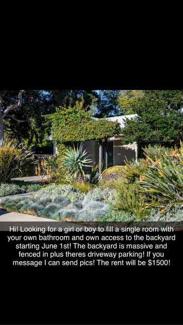 Looking for roomate asap!