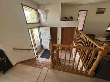 Female roommate wanted!