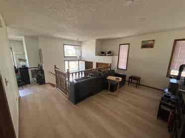 Female roommate wanted!