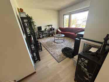 Female roommate wanted!