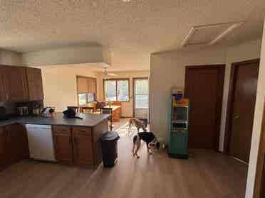 Female roommate wanted!