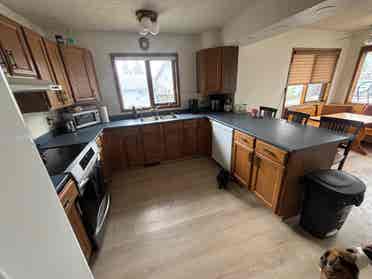 Female roommate wanted!