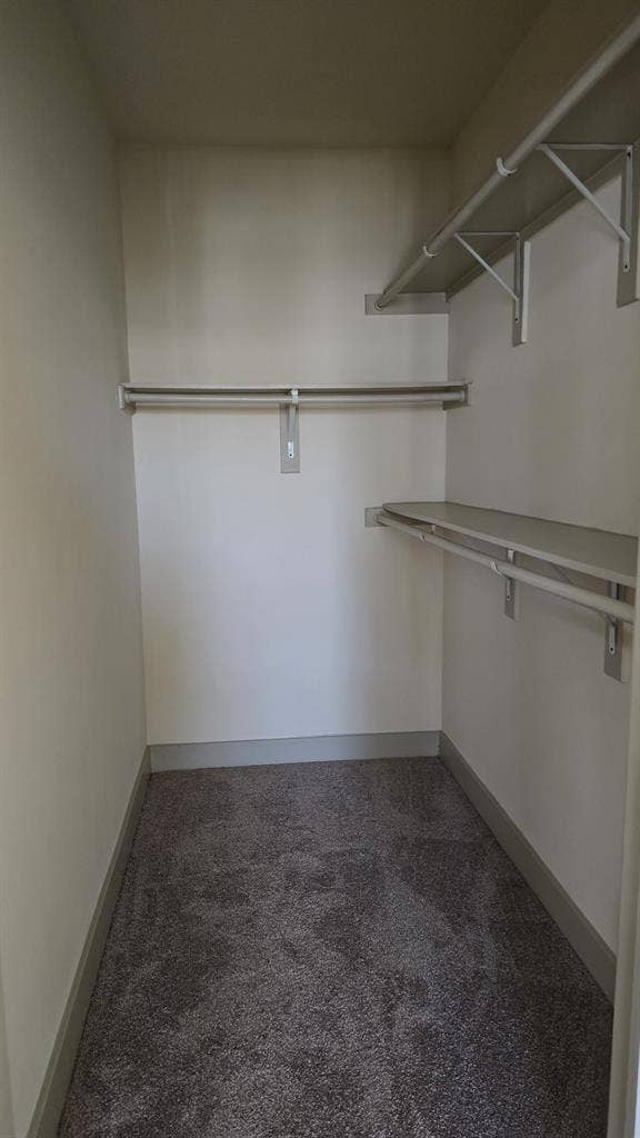 Need roommate at MAA Frisco Bridges