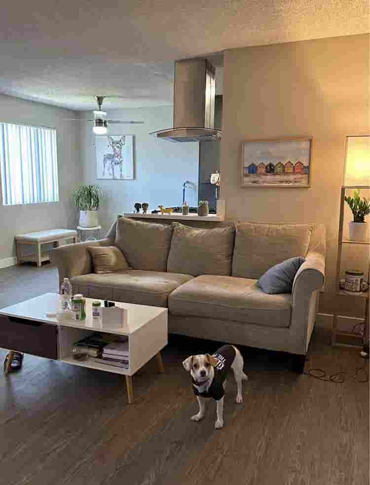 Looking for a roommate
